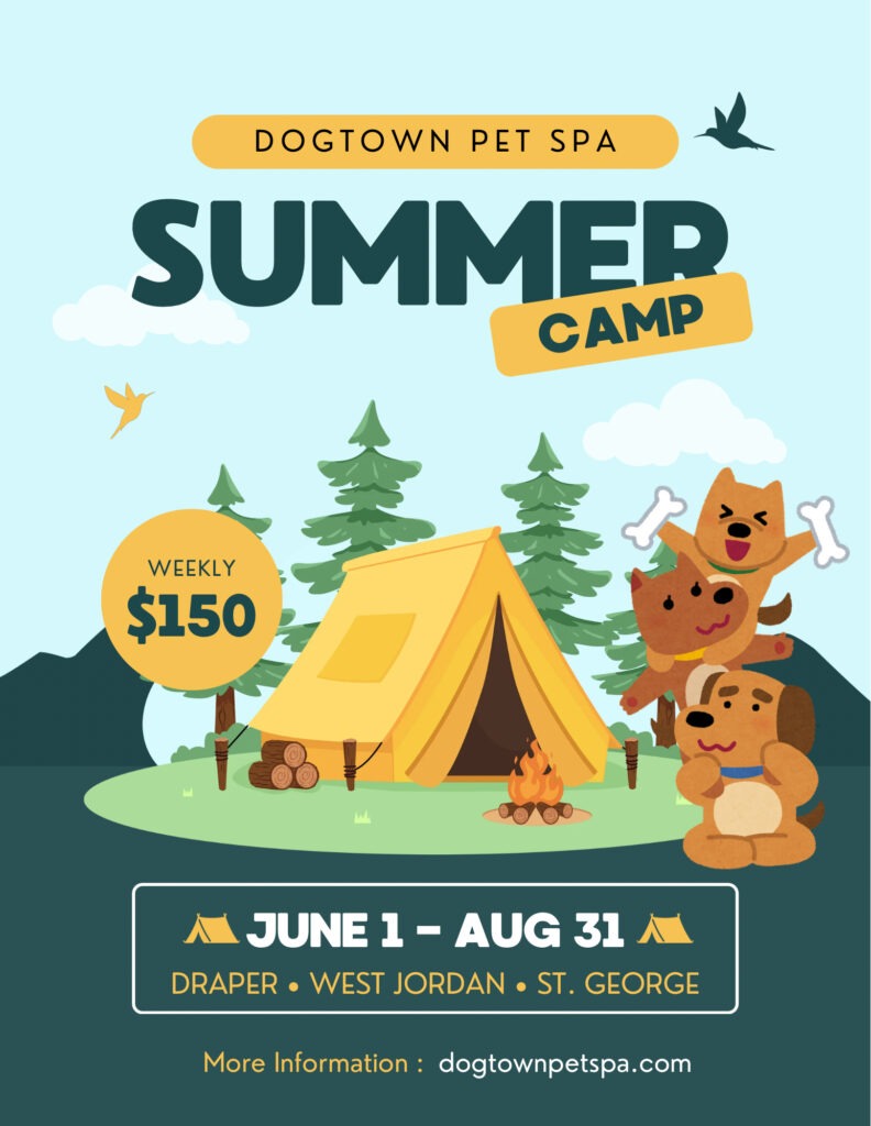 DogTown Pet Spa Summer Camp poster showing tents dogs and trees with a June 1Aug 31 schedule and weekly price option of 0