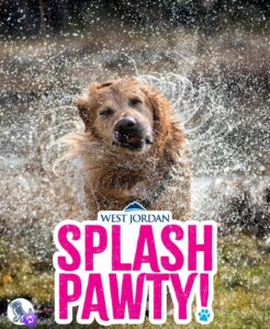 Screenshot Dogtown Pet Spa